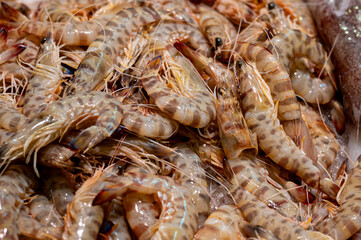 King prawns for sale at a fish market, Girona, Spain