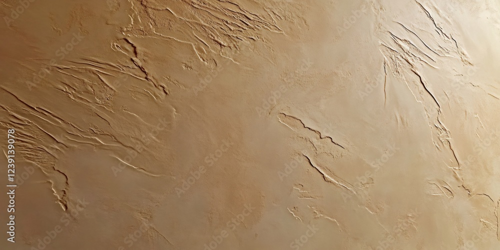 Poster decorative plaster creating textured beige surface with unique pattern