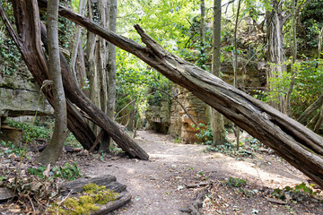 Climbing park with fallen trees and rocks with climbing aids in summer