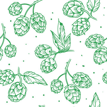 Hops plant hand drawn vector seamless pattern