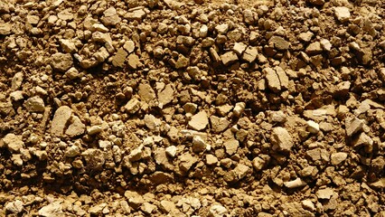 plowed land as background