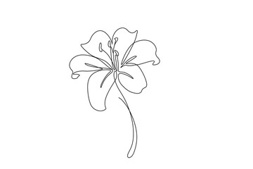 One continuous single-line drawing of bold lily flowers. Flowers silhouette in simple minimal linear style. Elegance plant Doodle outline vector illustration in editable stroke. 