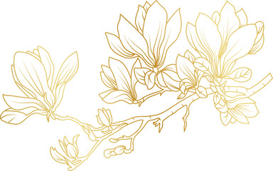 Magnolia tropical flowers golden line art