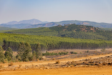 Eswatini