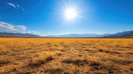 Vast Dry Landscape Under Bright Sunlight with Clear Blue Sky