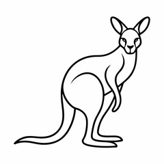 Simple a Kangaroo line art vector design white background
