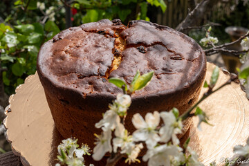 Pizza dolce di Pasqua