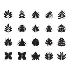 Obraz premium Collection of Black and White Silhouettes of Various leaf icons 