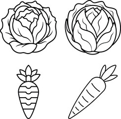 Line art drawings of cabbages and carrots, vegetables, healthy food