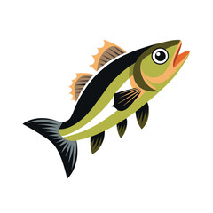 Fresh Sea Bass Fish Vector Illustration ? Cartoon, Clipart & Line Art Design 2.eps
