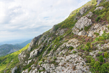 Forest mountain. Aerial view of rocky mountain. Tree tops from above. Sunlight on trees and shadows on rocks. Landscape of high cliff. Greenery and rugged stone formations. Trekking up the hill.