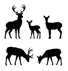 Silhouette of a Different Deer, With Doe, Fawn and Buck Isolated on a Transparent Background