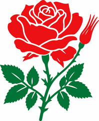 Captivating Rose Flowers: The Timeless Beauty of Nature's Velvet Blooms  Roze flowers, also known as Rosa roze or Rózsa, are a rare and exotic variety of roses known for their vibrant colors and intox © MOHAMMAD