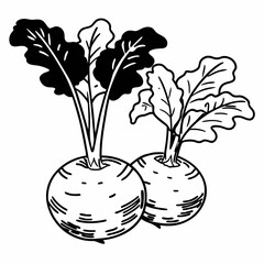 black and white flowers