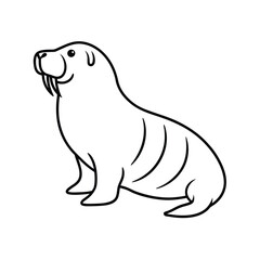 Stunning Walrus Art Vector Illustration and Walrus Outline Drawing Design