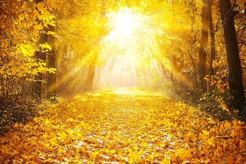 Obraz premium A serene woodland trail covered in golden autumn leaves, with sunlight breaking through