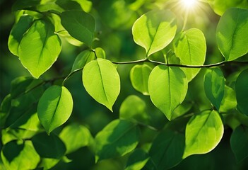 Obraz premium Explore a serene leaves background, perfect for nature-inspired designs, with lush greenery and organic textures for a calming, natural aesthetic