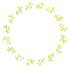 Round frame of yellow flowers. Vector illustration of mimosa round frame. Vector illustration.