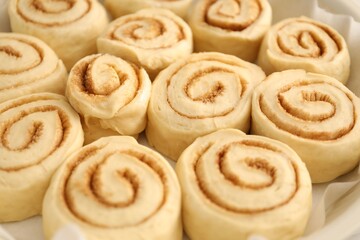 Many uncooked cinnamon rolls in baking dish, closeup
