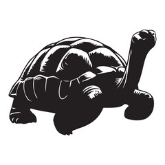 turtles in different poses silhouette set vector