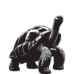 turtle vector illustration