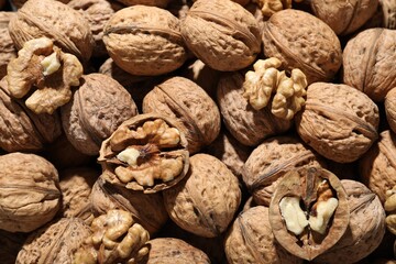 Fresh walnuts in shells and shelled ones as background, top view