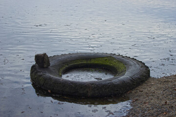 Big car tire in the river