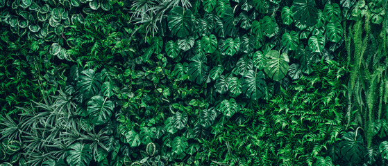 Close-up background of vibrant green leaves with rich textures, creating a bright and fresh natural atmosphere with an exotic botanical pattern.
