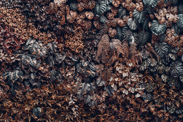 Close-up background of vibrant green leaves with rich textures, creating a bright and fresh natural atmosphere with an exotic botanical pattern.