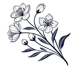 One line art drawing vector Set of botanical line art abstract flowers.Hand drawn sketch floral leaves isolated on white background.