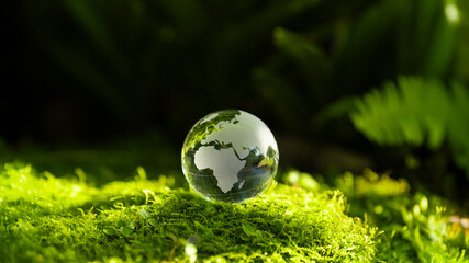 Crystal Earth On Soil In Forest With Ferns And Sunlight - Environment, save clean planet, ecology...