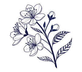 One line art drawing vector Set of botanical line art abstract flowers.Hand drawn sketch floral leaves isolated on white background.