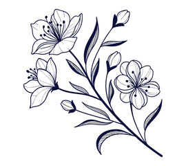 One line art drawing vector Set of botanical line art abstract flowers.Hand drawn sketch floral leaves isolated on white background.