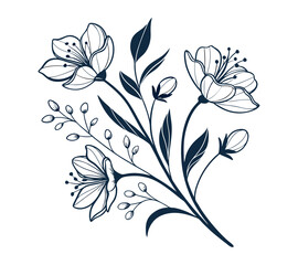 One line art drawing vector Set of botanical line art abstract flowers.Hand drawn sketch floral leaves isolated on white background.