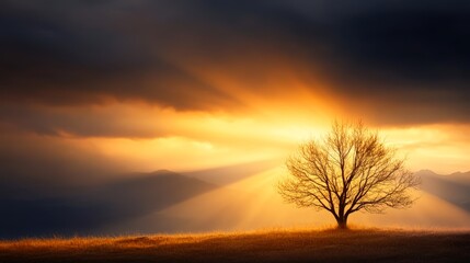 Obraz premium A lone tree stands against a stunning sunset, casting long shadows with golden rays illuminating the sky, This image can be used for nature themes, inspiration, or tranquility in various projects,