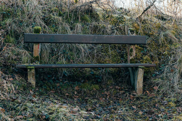 Weathered wooden bench in a secluded area surrounded by overgrown grass and earthy textures
