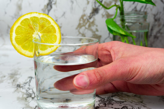 Hand holding glass with a lemon slice on it and water on a marble clean white background, potos plant.