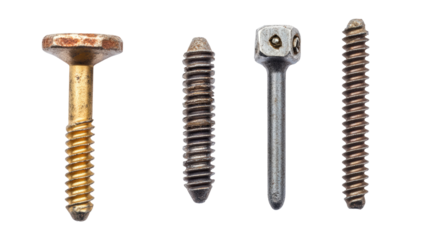 Isolated Assortment of Four Various Metal Screws