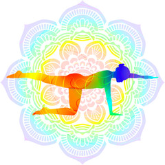 Colorful silhouette of woman practicing Utthita Chakravakasana yoga pose. Balancing Table pose or Ruddy Goose pose. Isolated vector illustration