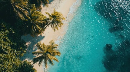 Aerial View of Tropical Beach with Clear Water and Lush Palms