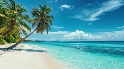 Serene Tropical Beach with Palm Trees and Crystal Clear Water
