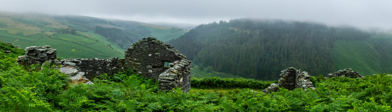 Misty Vision