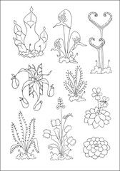 Carnivorous plants. Set of vector botanical decorative elements in black and white, contours and different forms of tropical leaves, silhouettes of leaves.