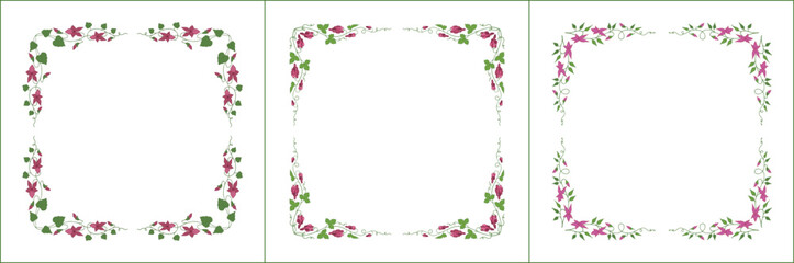 Set of three elegant green vegetal ornamental frame with pink flowers, decorative border. Isolated vector illustration