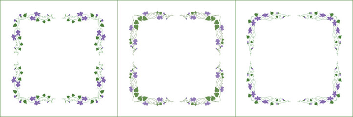 Fototapeta premium Set of three elegant green vegetal ornamental frame with purple flowers, violets, decorative border. Isolated vector illustration