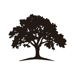 A minimalist and elegant oak tree logo, symbolizing strength, stability, and longevity. This vector illustration features a detailed oak tree with spreading branches and deep roots, making it perfect 