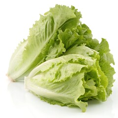Lettuce