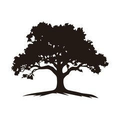 A minimalist and elegant oak tree logo, symbolizing strength, stability, and longevity. This vector illustration features a detailed oak tree with spreading branches and deep roots, making it perfect 