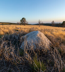 Stunning mountain landscape with beautiful trees, green grass, and rocky terrain during a breathtaking sunset, showcasing nature's beauty and vibrant colors in a tranquil outdoor setting