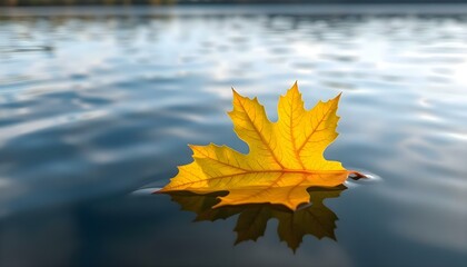 a yellow leaf floating on top of a body of water